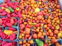 thumb_341-Bethesda-Farmer-Market